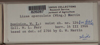 Image Associated With the Occurence